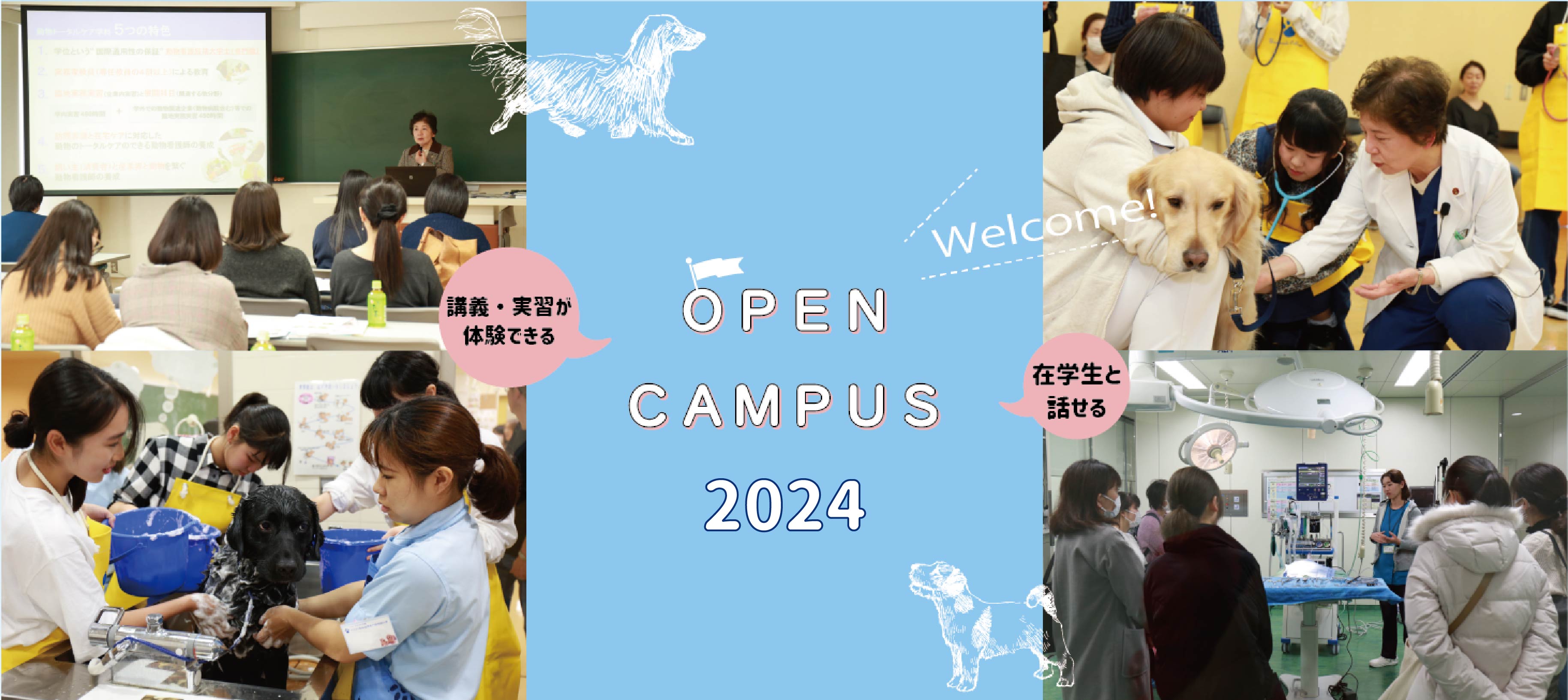 open campus 2024