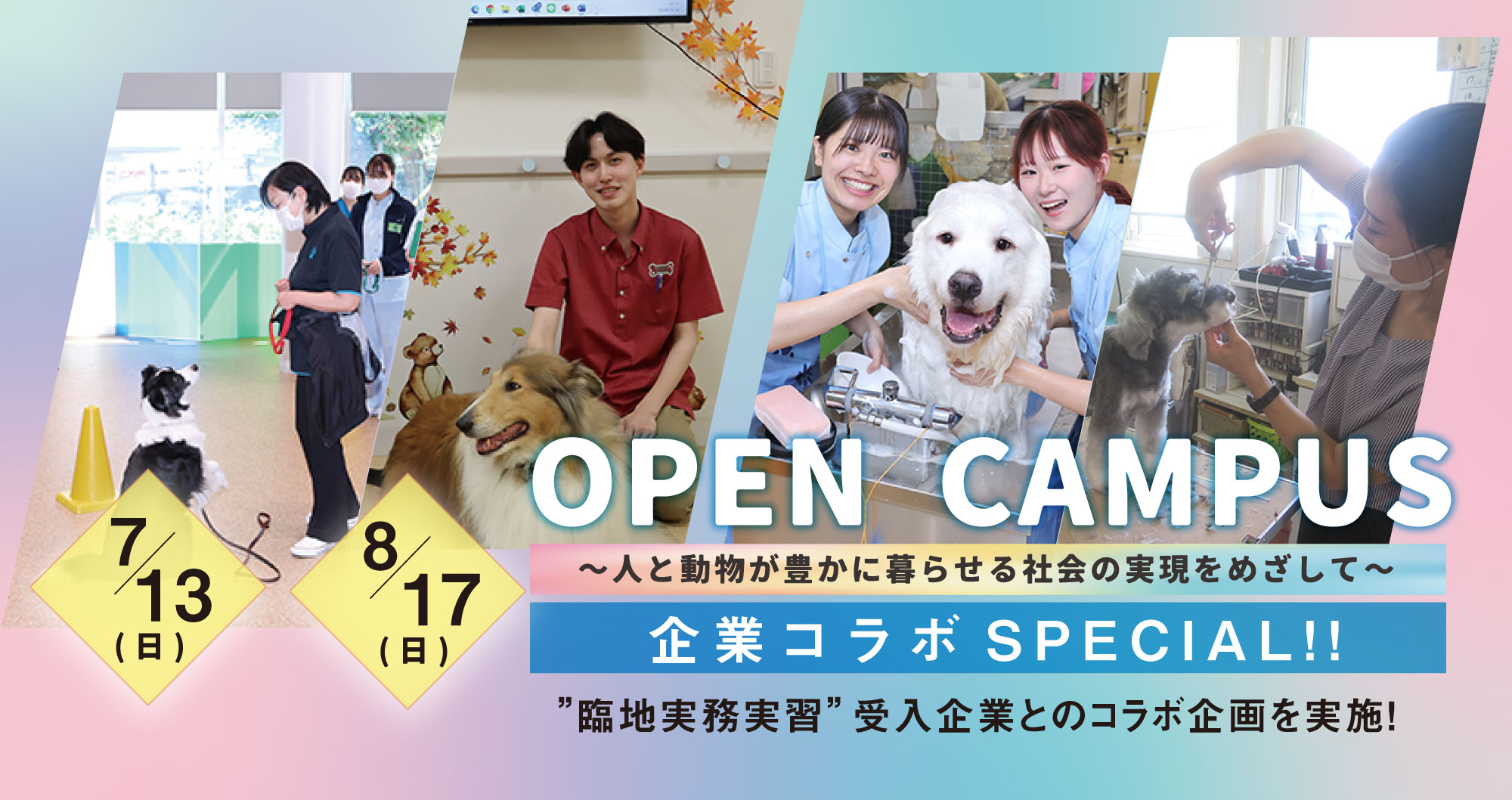 open campus 2025