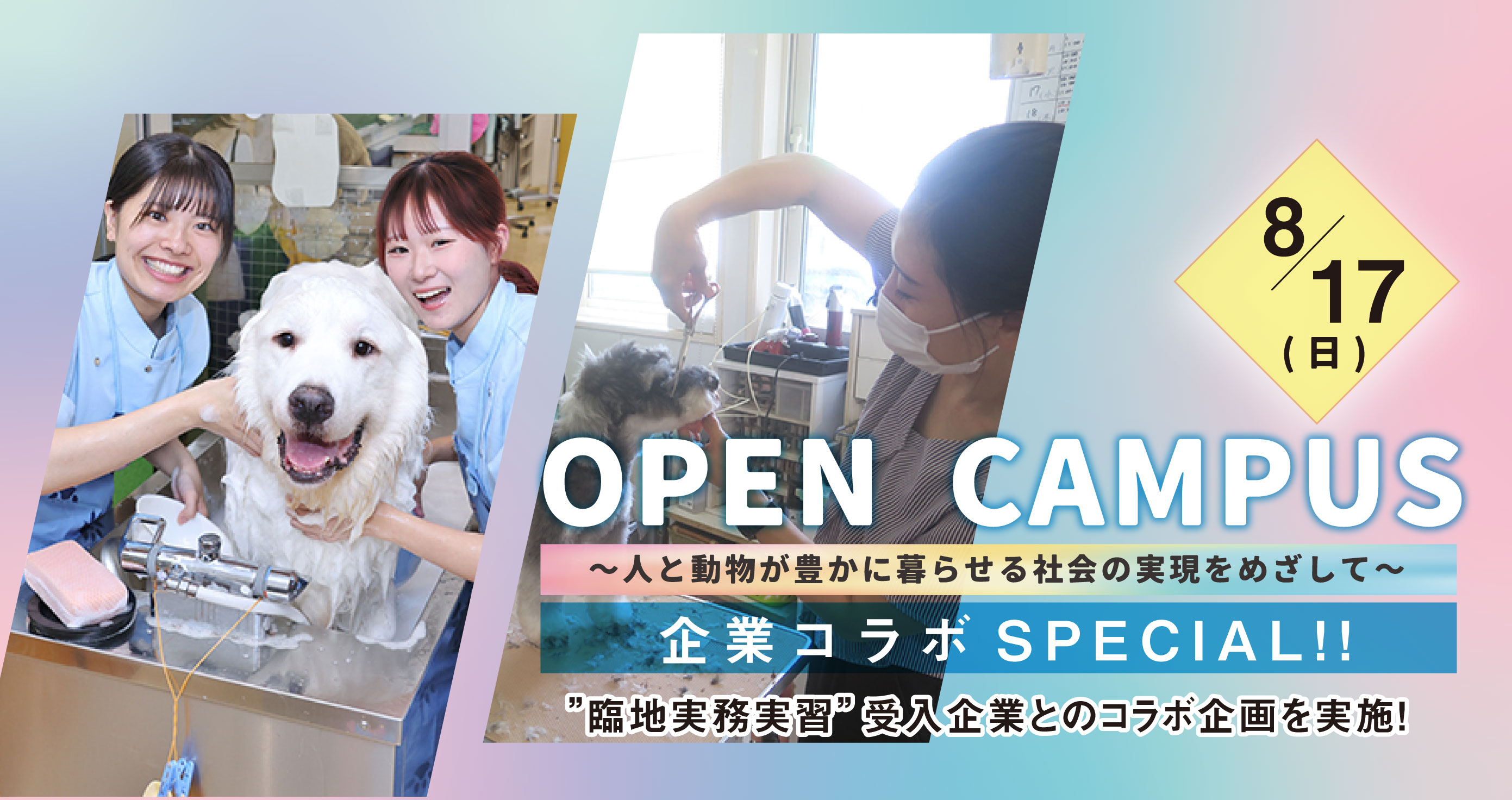 open campus 2025
