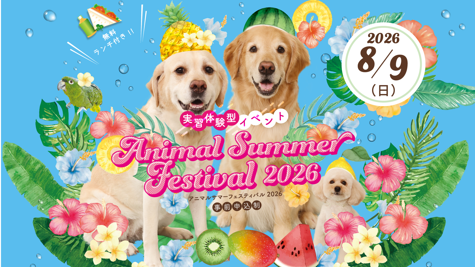 ☆まとめ購入大歓迎プロフ必須！さん専用☆　　 CANIN Animal Summer Festival 2026 | イベント | ヤマザキ動物看護専門職
