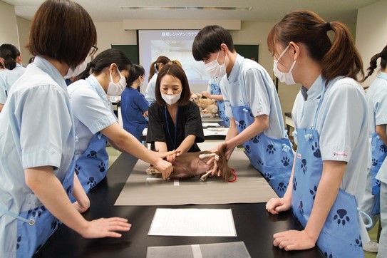 About Yamazaki Professional Collage of Animal Health Technology